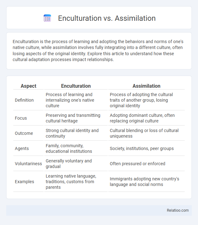 Enculturation vs. Assimilation - What is The Difference?