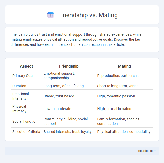 Friendship vs. Mating - What is The Difference?