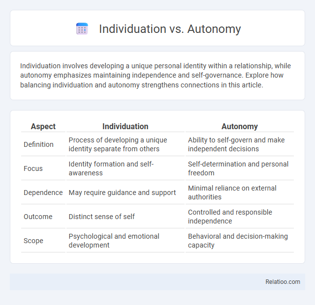 Individuation vs. Autonomy - What is The Difference?