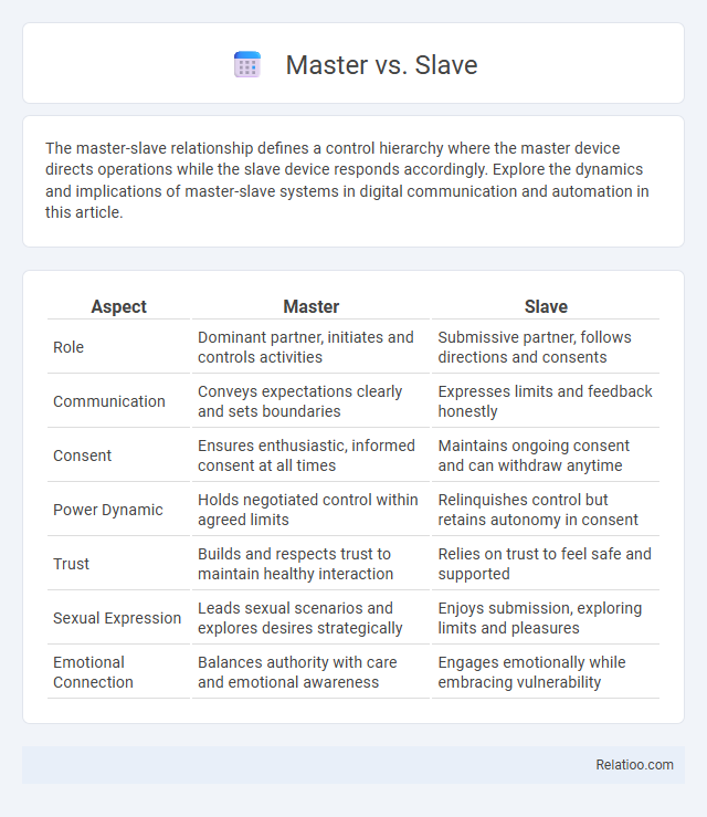 Master vs. Slave - What is The Difference?