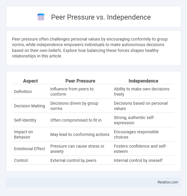 Peer Pressure vs. Independence - What is The Difference?