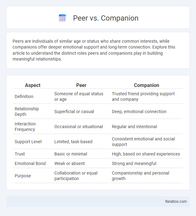 Peer vs. Companion - What is The Difference?