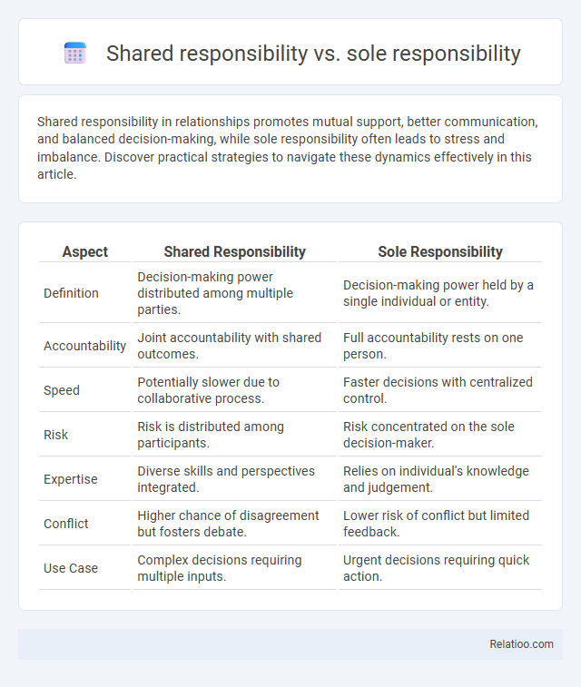 Shared responsibility vs. sole responsibility - What is The Difference?