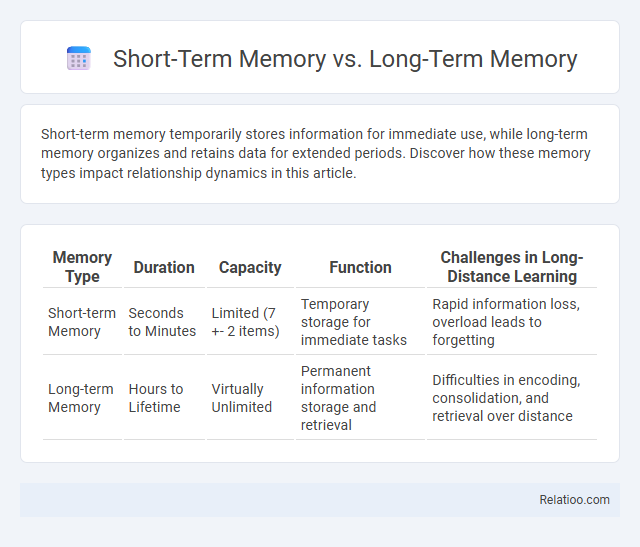 Short-Term Memory vs. Long-Term Memory - What is The Difference?