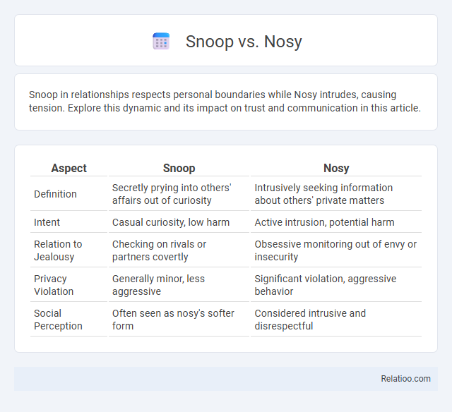 Snoop vs. Nosy - What is The Difference?