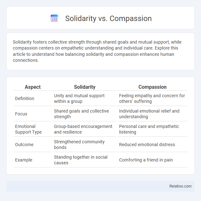 Solidarity vs. Compassion - What is The Difference?