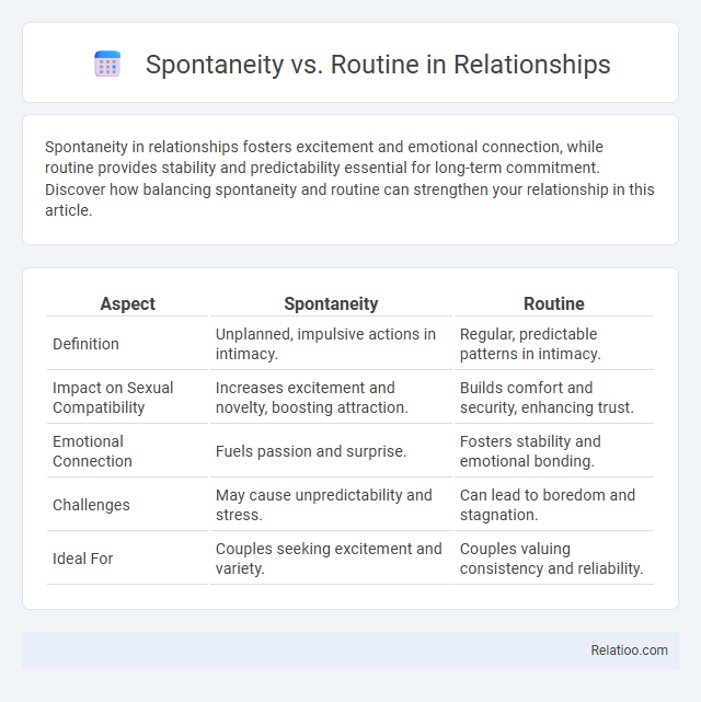 Spontaneity vs. Routine in Relationships - What is The Difference?