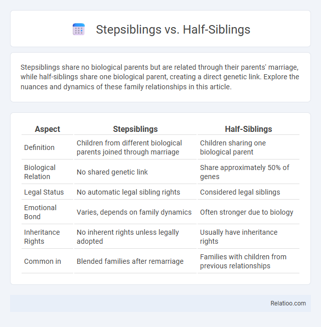 Stepsiblings vs. Half-Siblings - What is The Difference?