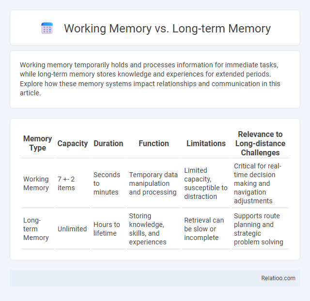 Working Memory vs. Long-term Memory - What is The Difference?